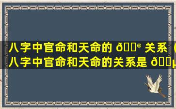 八字中官命和天命的 💮 关系（八字中官命和天命的关系是 🐵 什么）